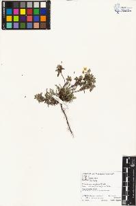 SW_BNB_s3070-04957_IMG-0000000001