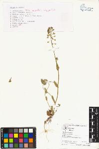 SW_BNB_s3070-04962_IMG-0000000001