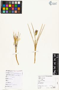 SW_BNB_s3070-04963_IMG-0000000001
