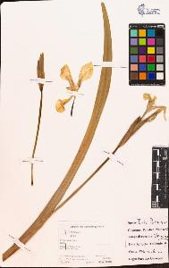 SW_BNB_s3070-04964_IMG-0000000001
