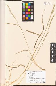 SW_BNB_s3070-04981_IMG-0000000001