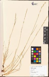 SW_BNB_s3070-04983_IMG-0000000001