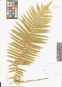 SW_BNB_s3070-04998_IMG-0000000001