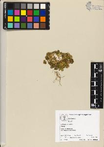 SW_BNB_s3070-05005_IMG-0000000001