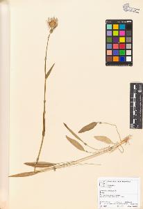 SW_BNB_s3070-05008_IMG-0000000001