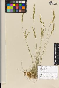 SW_BNB_s3070-05015_IMG-0000000001