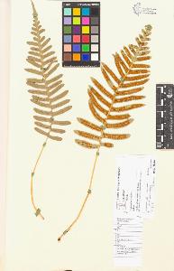 SW_BNB_s3070-05023_IMG-0000000001