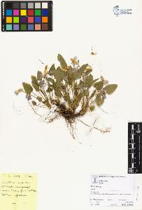 SW_BNB_s3070-05030_IMG-0000000001