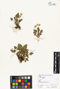 SW_BNB_s3070-05031_IMG-0000000001