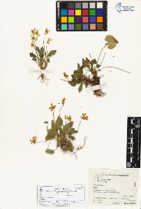 SW_BNB_s3070-05037_IMG-0000000001