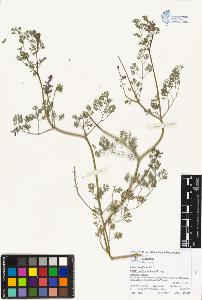 SW_BNB_s3070-05039_IMG-0000000001