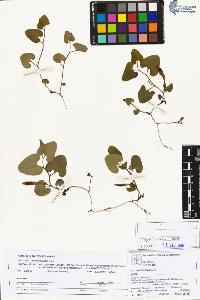 SW_BNB_s3070-05042_IMG-0000000001