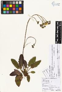 SW_BNB_s3070-05043_IMG-0000000001
