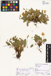 SW_BNB_s3070-05044_IMG-0000000001