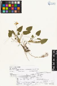 SW_BNB_s3070-05045_IMG-0000000001