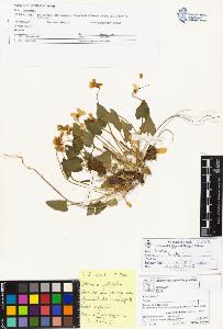 SW_BNB_s3070-05047_IMG-0000000001