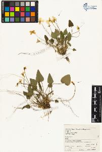 SW_BNB_s3070-05048_IMG-0000000001