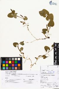 SW_BNB_s3070-05051_IMG-0000000001