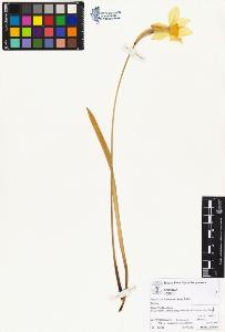 SW_BNB_s3070-05052_IMG-0000000001