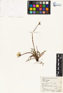 SW_BNB_s3070-05060_IMG-0000000001