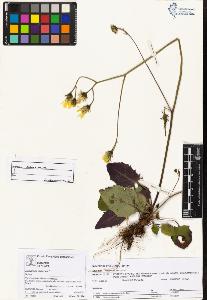 SW_BNB_s3070-05061_IMG-0000000001