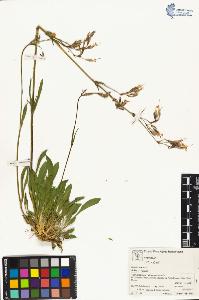 SW_BNB_s3070-05062_IMG-0000000001