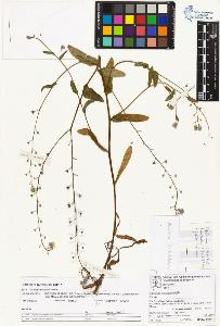 SW_BNB_s3070-05064_IMG-0000000001
