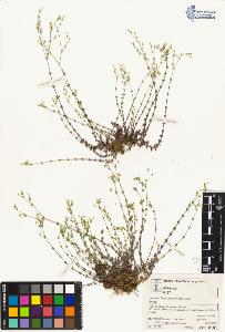 SW_BNB_s3070-05067_IMG-0000000001