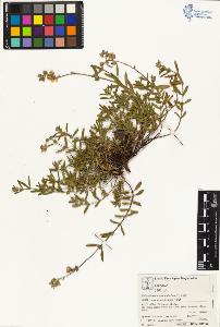 SW_BNB_s3070-05068_IMG-0000000001