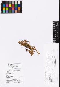 SW_BNB_s3070-05070_IMG-0000000001