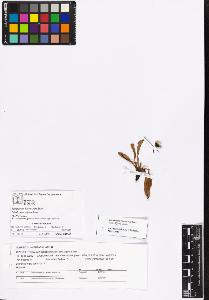 SW_BNB_s3070-05071_IMG-0000000001