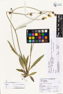 SW_BNB_s3070-05077_IMG-0000000001