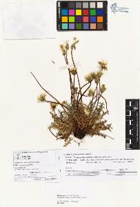 SW_BNB_s3070-05082_IMG-0000000001