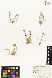 SW_BNB_s3070-05086_IMG-0000000001