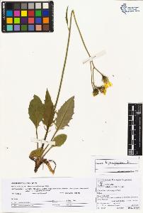 SW_BNB_s3070-05089_IMG-0000000001