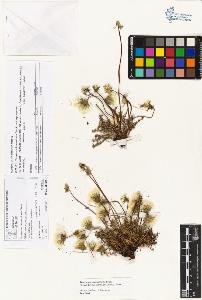 SW_BNB_s3070-05090_IMG-0000000001