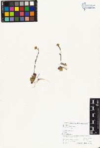 SW_BNB_s3070-05094_IMG-0000000001