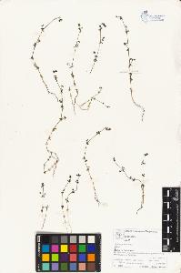 SW_BNB_s3070-05097_IMG-0000000001