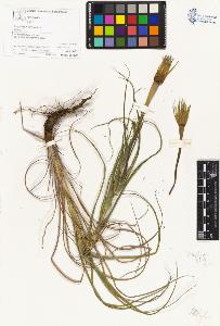SW_BNB_s3070-05100_IMG-0000000001