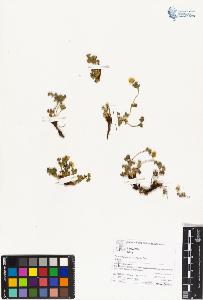 SW_BNB_s3070-05103_IMG-0000000001