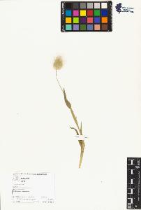 SW_BNB_s3070-05104_IMG-0000000001
