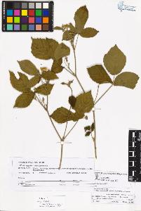 SW_BNB_s3070-05105_IMG-0000000001