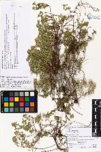 SW_BNB_s3070-05107_IMG-0000000001