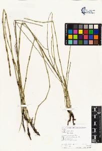 SW_BNB_s3070-05108_IMG-0000000001