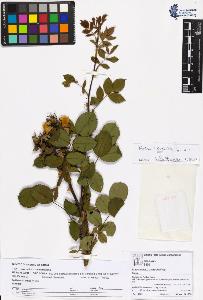 SW_BNB_s3070-05109_IMG-0000000001