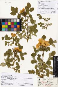 SW_BNB_s3070-05110_IMG-0000000001