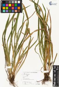 SW_BNB_s3070-05111_IMG-0000000001
