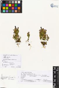 SW_BNB_s3070-05114_IMG-0000000001