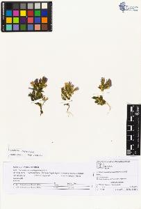 SW_BNB_s3070-05115_IMG-0000000001