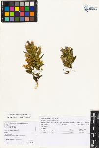 SW_BNB_s3070-05116_IMG-0000000001
